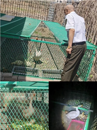 微信图片_20250429120344.jpg