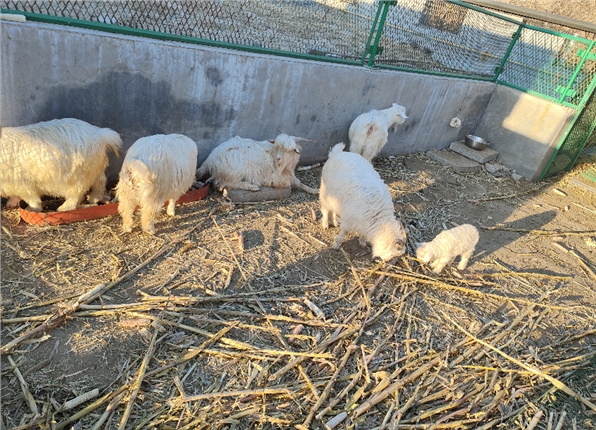 9b43a426-2867-42a7-9089-7af66954a401.png 9b43a426-2867-42a7-9089-7af66954a401.png