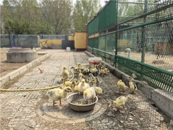 40ed881cf42126b18aa08c530879f61d.jpg 40ed881cf42126b18aa08c530879f61d.jpg